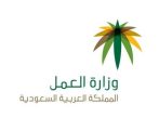 العمل”: بدأنا إصدار تأشيرات عمالة جيبوتي بتكاليف استقدام ألف دولار وأجر شهري 800 ريال