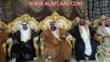الشاب مدهش المجادعة عريسآ