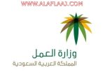 “العمل”: 10 أيام للفصل في الخلافات المالية للعمالة المنزلية