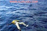 مواطن يبحث عن مكفوله ليجده غريقا في مجمع مياه داخل المزرعة