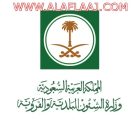 وزير الشؤون البلدية يُصدر قراراً بتعديل مادتين تتعلق بهوية الناخب وإقامته