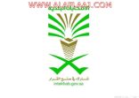 إقبال لافت للمرأة في الأفلاج