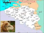مليون مسلم ممنوعون من ذبح الأضحية في بلجيكا