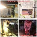 مدرسة عبدالله بن رواحة وتحفيظ القرآن الكريم بالأحمر تكرم معلميها المتقاعدين