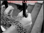 أبٌ يستنجد بدورية أمنية لوقف اعتداء ابنه عليه بالضرب