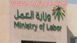 وزارة العمل ترهن الموافقة على الاستقدام بعدم توفر الكوادر الوطنية المؤهلة