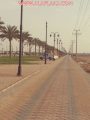 الصورة تتحدث