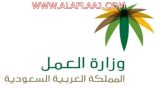 العمل” تتفاعل مع تقلبات الطقس وتدعو للالتزام باشتراطات السلامة