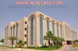 الخدمة المدنية تطلق 10 مشروعات للارتقاء بأداء موظفي الدولة وتحقيق الرضا الوظيفي