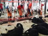 مسلخ الأفلاج يستقبل أكثر من أربعة  آلاف ذبيحة خلال شهر رمضان
