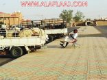 صمود أسعار الأغنام بالأفلاج رغم انخفاضها بمناطق المملكة