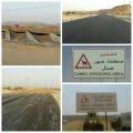 العمل على صيانة طريق الأفلاج الأحمر بعدد من المشاريع