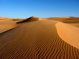 العثور على العائلة المفقودة غرب الأفلاج