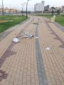 الإهمال وتراكم النفايات يسلب جمال حدائق الأفلاج