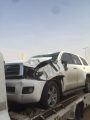 خروج مفاجئ لجمل من بين أشجار البلدية يتسبب بحادث