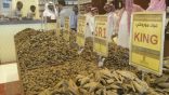 صور / افتتاح فرعي شركة الخريص للعود بالأفلاج وعروض خاصة بمناسبة الافتتاح