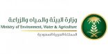 المديرية العامة للمياه تعقب على خبر “المياه تقتل فرحة أهالي الأحمر منذ 11 عام”
