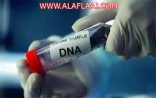 رسميًّا.. فحص الحمض النووي شرط لاستخراج بطاقة الهوية الوطنية لمن تجاوز العشرين.. وهذه إجراءات “حذف اسم القبيلة”
