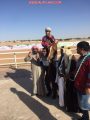 الجواد “زافر الخالدية” يحقق المركز الأول في ميدان فروسية البدائع