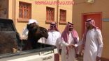 معلمو ابن كثير يهدون قائدهم جملاً