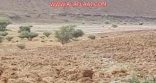بالفيديو والصور : سيول وشلالات شعيب مرخ جنوب غرب الهدار