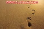 العثور على مفقود الأفلاج متوفياً رحمه الله