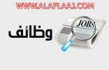 وظائف تعليمية في مدارس القبس بالأفلاج