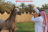 شاهد : مربط الدريهمية يستقبل أعضاء نادي الإبداع