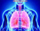 العواصف الترابية.. وحسـاســـيــة الصـــدر والأنـــف