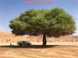 بالصور : جولة المتنزهين تكشف جمال طبيعة الأفلاج بعد الأمطار