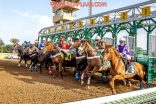 ملاك الخيل في الأفلاج من يعيد الحياة للميدان