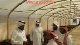 شاهد : “الحمدان ” يوجه بزراعة بذور “البان” بمشتل البديع .. التقى رابطة الأفلاج ورحب ببرامجها واشاد بأهدافها