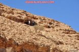 السياحة تنظم مهرجان “ليالي قيس” في جبل التوباد