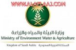 زراعة الأفلاج تعلن عن وجود وظيفتين شاغرة  “مستخدمين وبندر الأجرور”