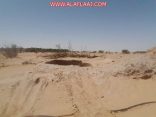 بالصور.. مواطن يبلغ عن 5 قلبان تشكل خطرًا على المارة في الأفلاج
