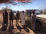 الإحتطاب يهدد بيئة مركز ستارة  والجهات المعنية تتخذ عدد من الإجراءات