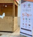 مهرجان ربيع البديع يشعلل سماء الأفلاج بالإبداع