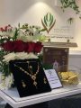 فخرا واعتزاز بما حققت “تنمية البديع” تقدم تكريم خاص لحافظة القرآن بالبديع
