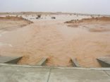 سيول الاحمر الاكثر زيارة في التغطيات الإعلاميه وتقارب ال 6 الاف زيارة