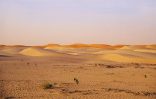 قائد فريق غوث بالأفلاج : العثور على مفقود الأفلاج