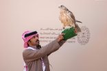 مهرجان الملك عبدالعزيز للصقور 2025 ينتهي في يناير القادم