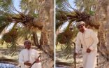 شاهد ..  “الزعاق” يكشف موعد دخول موسم سهيل.. ويتوقع تحسن درجات الحرارة في هذا التوقيت !