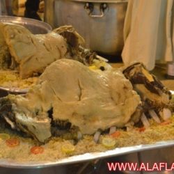 قصيدة الأمير خالد الفيصل في شقيقه الأمير سعود الفيصل وزير الخارجيه السعودي