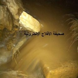 قصيدة الأمير خالد الفيصل في شقيقه الأمير سعود الفيصل وزير الخارجيه السعودي