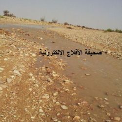 أمطار الأحمر الثلاثاء 10-10-1433هـ