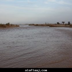 أجواء شهر 5 لعام 1431هـ