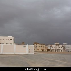 بلدة الروضة