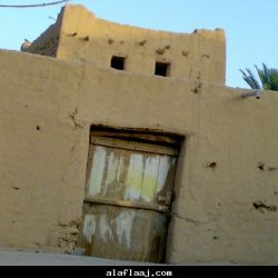 سلمان بن عبد العزيز رجل دولة وفاعل خير: من يفعل الخير لا يعدم جوازيه