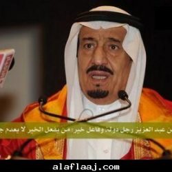 بلدة الروضة