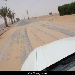 مكتب الضمان الجديد